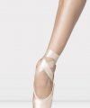 Scarpe da Punta Wear Moi Classic